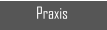 Praxis